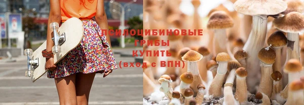 не бодяженный Абаза