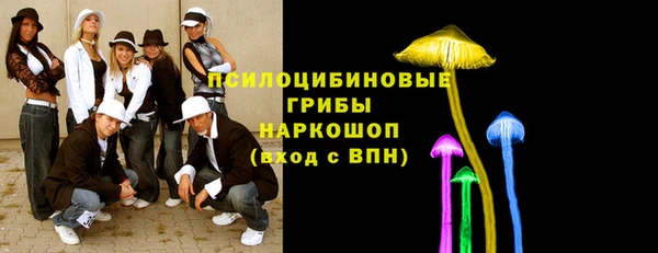 твердый Абинск