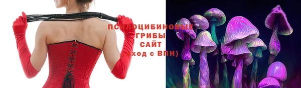 трава Абдулино