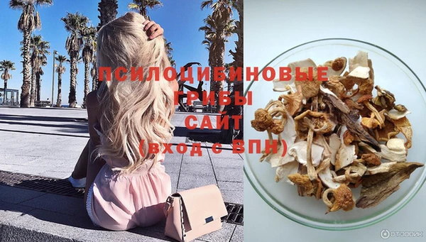 твердый Абинск