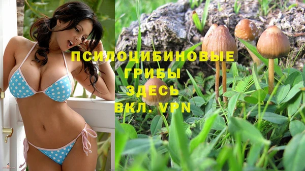 трава Абдулино